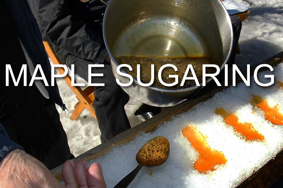 Recreational Vehicle Insurance